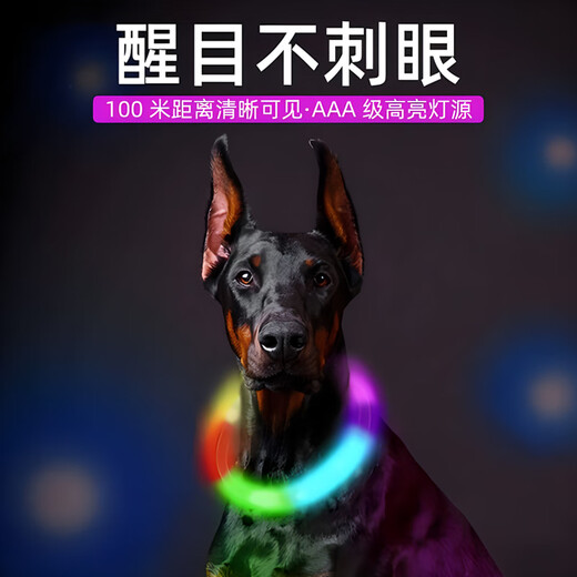 Patent leather dog luminous collar, adjustable length, night walking pet collar, cat and dog anti-lost, rechargeable