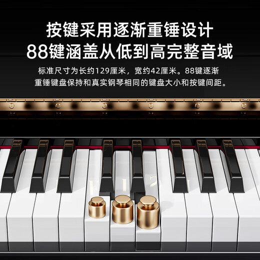 贝琪（Betsy）B338电钢琴88键重锤实木琴键专业成人家用儿童初学者立式电子钢琴 B338大立柜-烤漆黑-ABS键盘