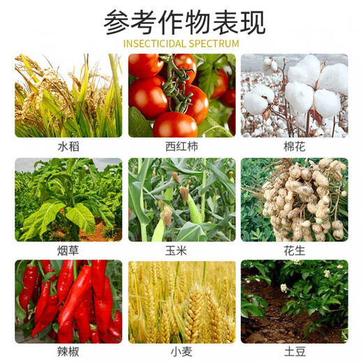 Dwarf dwarf narcissus flower dwarf dwarfing agent dwarf dwarf dwarf dwarf dwarf dwarf dwarf dwarf dwarf dwarf dwarf dwarf dwarf dwarf dwarf dwarf dwarf dwarf dwarf dwarf dwarf dwarf dwarf dwarf dwarf dwarf dwarf dwarf dwarf dwarf dwarf dwarf dwarf dwarf dwarf dwarf dwarf agent 30ml