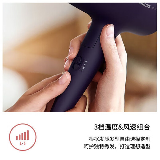 Philips (PHILIPS) hair dryer household hair dryer constant temperature quick-drying high-power hair dryer handle foldable hair dryer BHD318/05