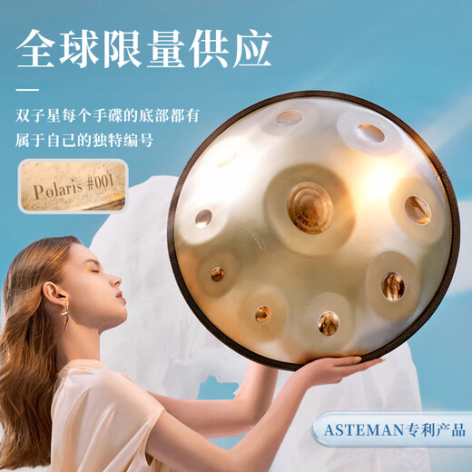 AS TEMAN手碟 全国销量过万handpan专业级打击乐器送全套教程【支持定制】 北极星10音