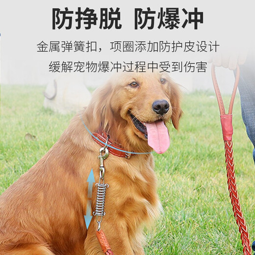 Mastiff Shaobao dog leash, traction rope, dog leash, large and medium-sized dog walking leash, golden retriever collar, pet dog outing supplies, black M size, recommended 30-50 Jin Jin is equal to 0.5 kg