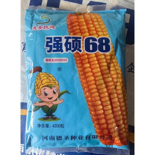 New species in stock, nationally approved original Qiangshuo 68 corn seeds, high-yield corn seeds, drought-resistant pioneer, high-yielding, drought-resistant, not bald. New species in stock, original nationally approved Qiangshuo 68 4200 grains 1 bag