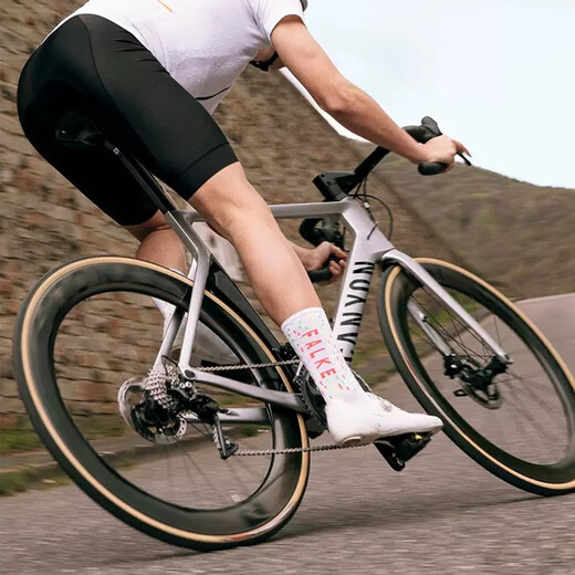 
FALKE German Eagle Imported BC5 Sports Riding Universal Men and Women Breathable Moisture Wounding Medium Socks 16864/16887 3010- Black - 1 pair One Size 37-38
