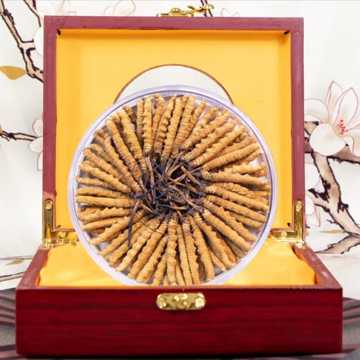 
Cordyceps sinensis, high-altitude cordyceps in Tibetan areas are affordable for self-use, holiday gifts, gift boxes, 2 sticks/gram (50 sticks gift boxes)
