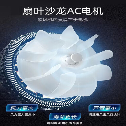 Feike FH6101 Speed Dryer Hair Dryer High Power Hair Style Barber Shop Negative Ion Hair Care Hair Care and Hair Care Silent Feike FH6231 Air Supply Cover