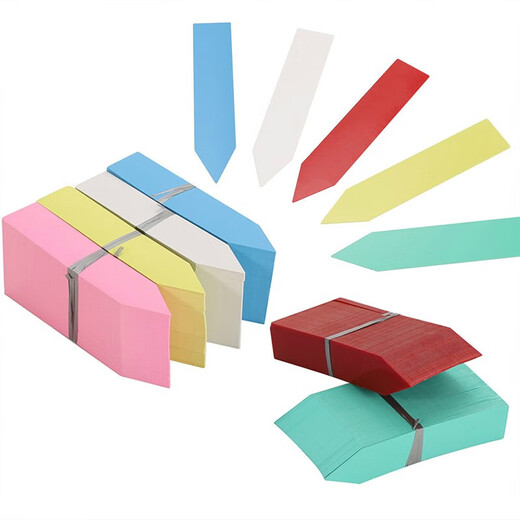 西普顿多肉植物塑料插地标牌一字型多肉标签花卉多肉植物园艺插地牌 10*2cm白色100张