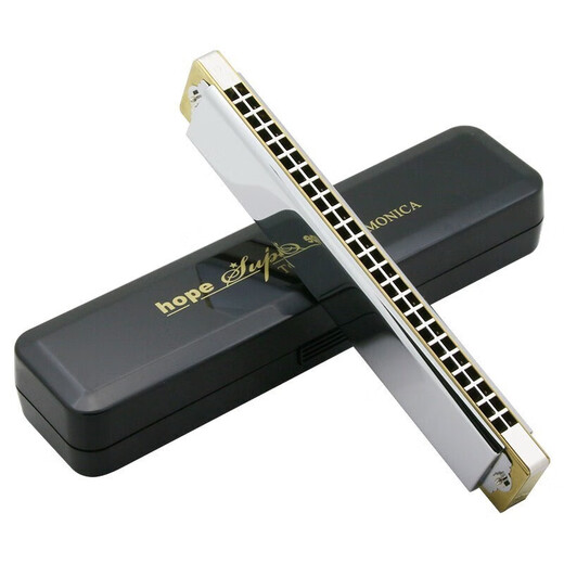 Tombo Japan Tongbao harmonique 6624S Modèle de collection Full Metal Copper Grid Version 24 Hole Polyphon Cne-Tune harmonique débutant Performance professionnel Performance Ane