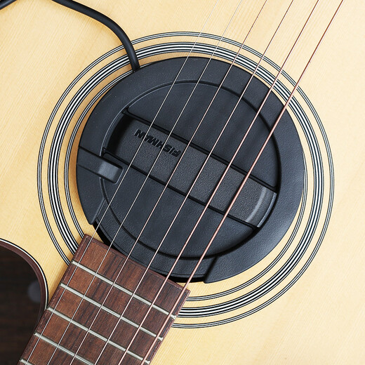 FISHMAN Fisherman Folk Acoustic Guitar Singing Speaker Loudbox Mini Box Audio Pickup Mini 60W
