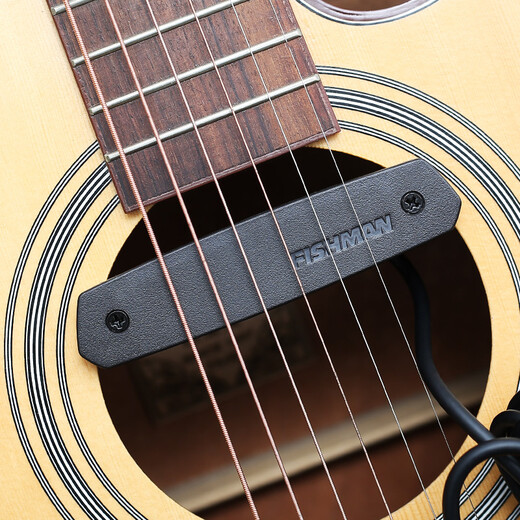 FISHMAN Fisherman Folk Acoustic Guitar Singing Speaker Loudbox Mini Box Audio Pickup Mini 60W