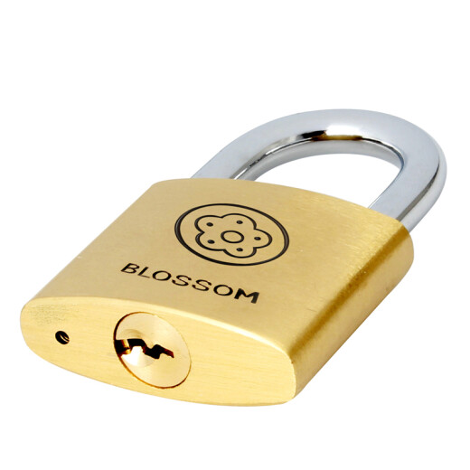 BLOSSOM Yayuan copper padlock 25MM drawer lock luggage lock dormitory cabinet door lock BC9025