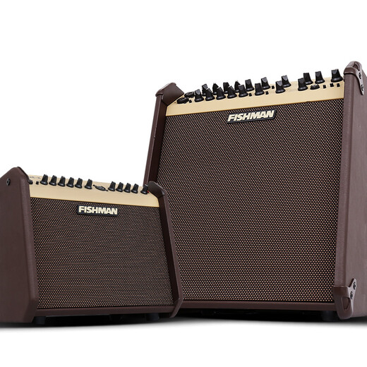 FISHMAN Fisherman Folk Acoustic Guitar Singing Speaker Loudbox Mini Box Audio Pickup Mini 60W