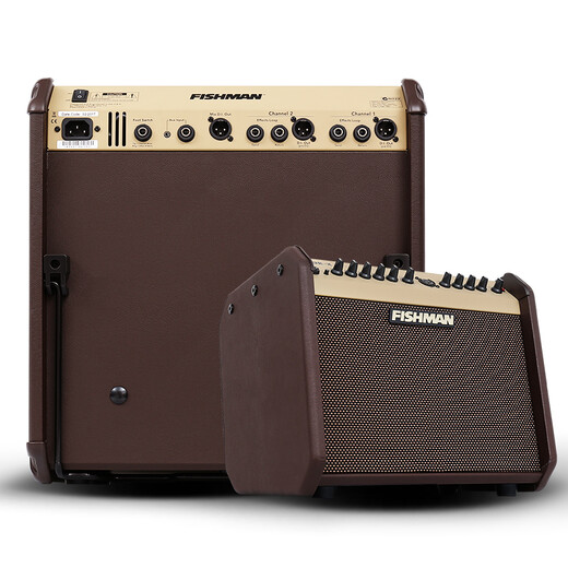 FISHMAN Fisherman Folk Acoustic Guitar Singing Speaker Loudbox Mini Box Audio Pickup Mini 60W