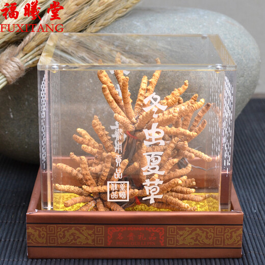 福曦堂 西藏 那曲冬虫夏草 虫草 3根1克 内装5克礼盒装 那曲冬虫夏草