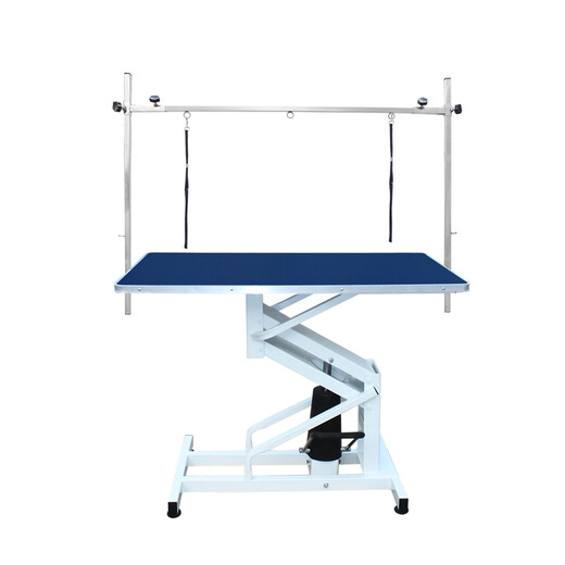 Chunzhou N-201 Large Hydraulic Beauty Table Pet Hydraulic Lift Beauty Table Black Dot