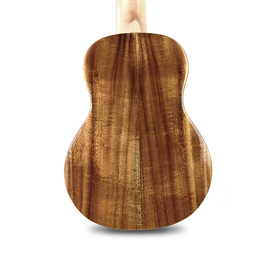 Bright Sun Full-Sun Single Board Ukulele Kleiner Gitarrenfinger spielen Einführende Ukulele-Ukulele-Anfänger Männer und Frauen 23-Zoll-Akazienholz Volleinfacher elektrischer Box Model