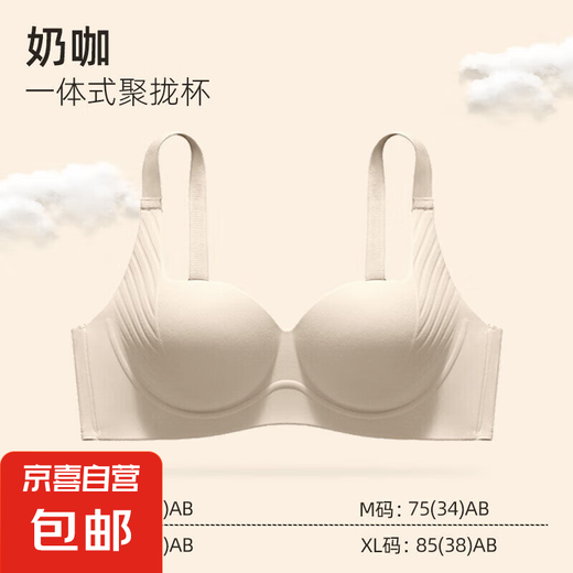 内衣女士聚拢小胸显大无钢圈收副乳防下垂提拉上托无痕文胸罩套装 奶咖 S