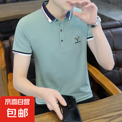 2025夏季新款男士短袖Polo衫纯棉半袖翻领t恤男休闲上衣刺绣T潮流 Q673豆绿 纯棉高档 XL 建议120-135斤