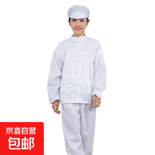 Anti-static clothing split suit dust-proof work clothes for men and women dust-free clothing for food electronics factory workshop electrostatic clothing with stand-up collar white stand-up collar suit including big work hat 2XL