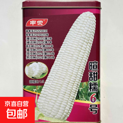National-approved corn seed sweet waxy corn seed hybrid corn white corn national-approved corn seed Xuantiannuo No. 6 corn seed 500g