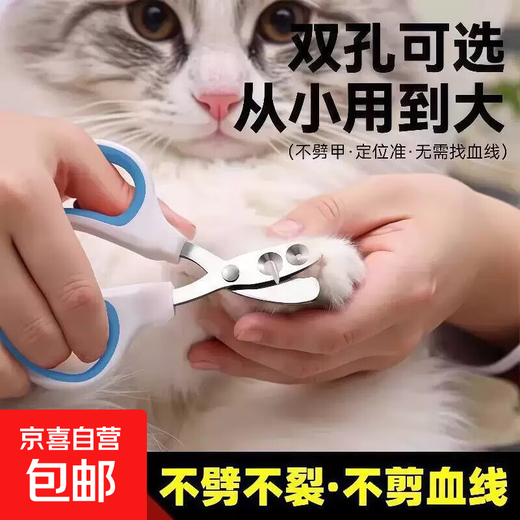 Nail scissors for pets, recommended for beginners, cat nail scissors, dog manicure, round hole nail clippers, cleaning and beauty, double holes, random 2 pieces
