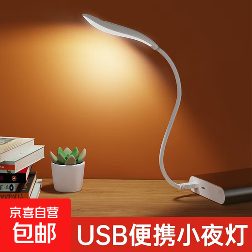 Best-selling on the whole network, night light, bedside lamp, USB portable LED lamp, table lamp, power bank, keyboard lamp, soft light eye protection, suitable for student dormitory, bedroom, outdoor travel, USB portable lamp - 1 random color