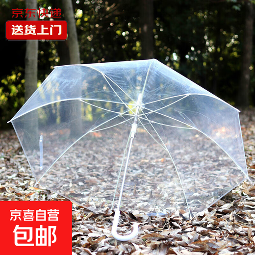 Transparent umbrella Korean style umbrella ins umbrella long handle umbrella internet celebrity thickened student girl small fresh high-end umbrella transparent
