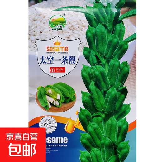 Space One Whip White Sesame Seeds Resistant to Repeated Cropping, High Oil and High Yield Sesame Seeds Dwarf Stem Capsules Eight-Ringed Field Harvest Space One Whip Sesame Seeds Original 100g 1 Bag