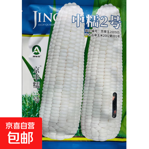 White, sweet and waxy corn seeds, high-yielding, sown in all seasons, white waxy corn, non-transferable, state-approved, farmers' super sweet and waxy corn seeds, Zhongnuo No. 2 corn seeds, original 200g, 1 bag