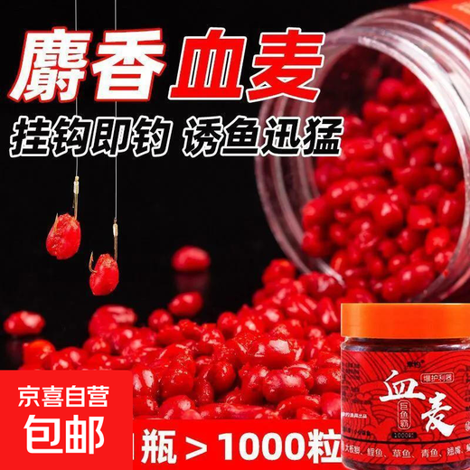 Fishing wheat grain blood wheat bait Xiangye fishing crucian carp and carp killing red worm granules fishing stream grass carp main attack musk blood wheat 1 bottle 1000 capsules
