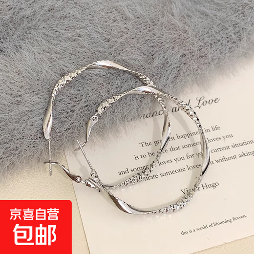 S925 Silver Needle Large Circle Earrings Feminine and High-end Earrings 2025 New Hot Style French Internet Celebrity Earrings for Women Large Circle Earrings Feminine and High-end Earrings