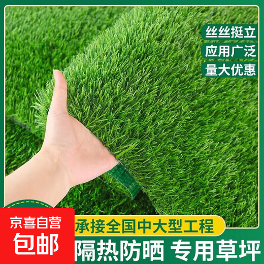 LZJGRASS balcony sun protection and heat insulation simulated lawn glass courtyard terrace sun room carpet turf lawn fake 2cm spring grass green bottom encryption 3.5*5 meters long