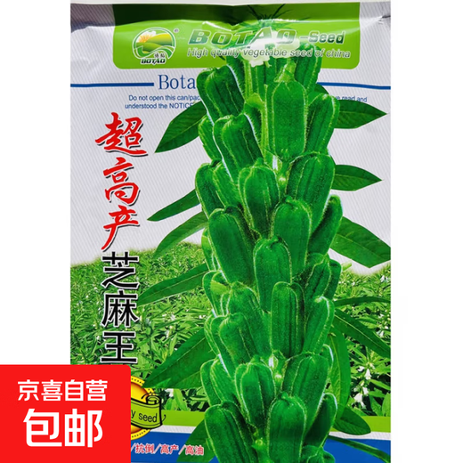 Black sesame seeds white sesame seeds oil extraction Academy of Agricultural Sciences hybrid high oil stable yield short stem eight-edge seed base special ultra-high sesame seed king original 100g bag