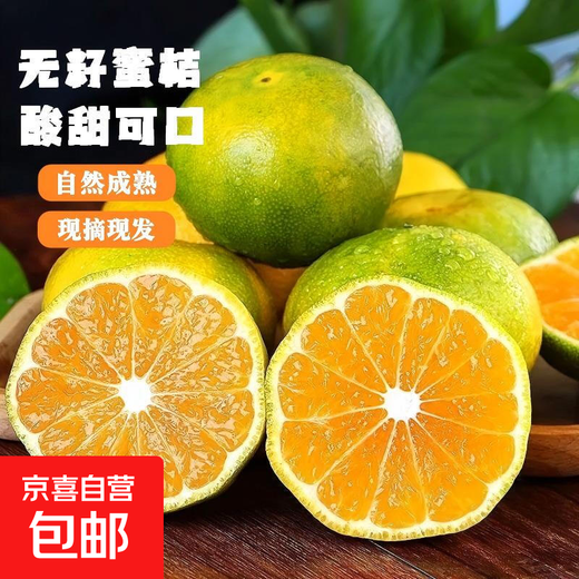 新鲜青皮云南蜜橘当季中果薄皮桔子应季新鲜采摘整箱 蜜桔中果带箱1斤
