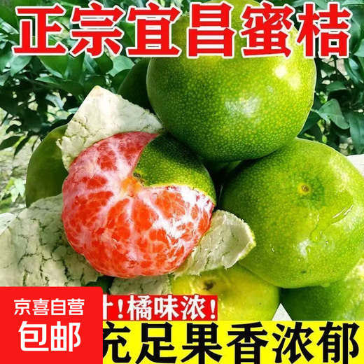 酸甜云南新鲜青橘孕妇青皮当季无籽橘子桔子薄皮水果多汁一整箱 250g 55-60mm