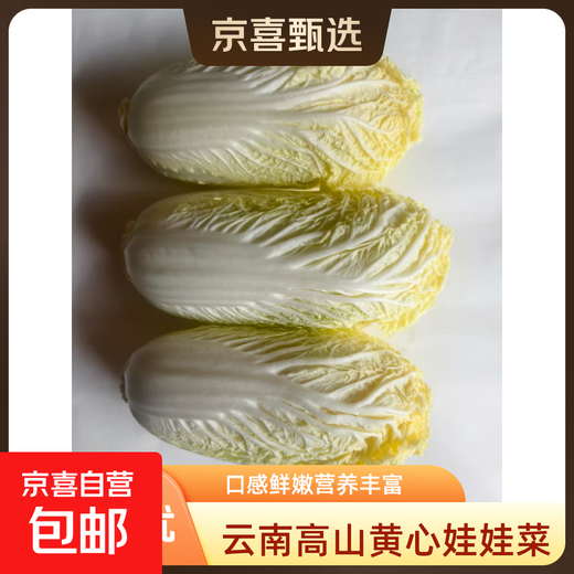 Yunnan high mountain fresh baby cabbage salad vegetables breakfast vegetables and fruits freshly harvested fresh baby cabbage (3 plants)*1 pack