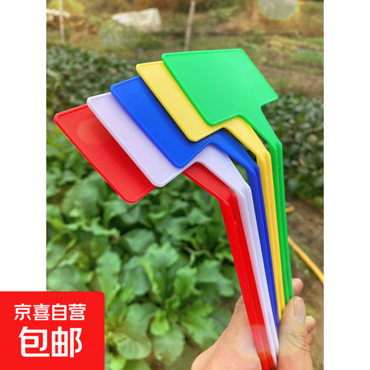 斜面大号插地牌园艺标签园艺标识牌植物指示牌插地标牌记号牌 30厘米斜面(混色)50张五色各1