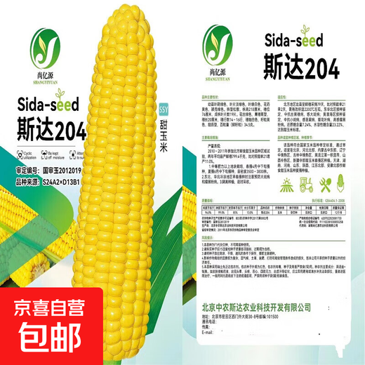 National Approval Fruit Corn Seeds Fresh Sweet and Crisp National Approval Sweet Corn Seeds Farmhouse Garden Vegetables National Approval Fruit Corn Seeds 3 packs of about 150 grains