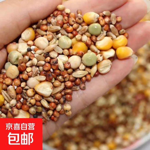 Other horticultural high-quality nutritious pigeon food, meat pigeons, ornamental pigeons, homing pigeons, racing pigeons, Yuanbao pigeons, young pigeon feed, breeding pigeons, pigeon food with corn, 5 Jin Jin is equal to 0.5 kg