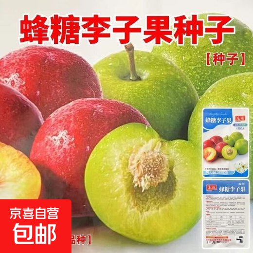 Bee Sugar Plum Fruit Seeds, Cold-resistant New Variety Mixed Color Large Plums Potted Ground Planting in the North and South, Perennial Bee Sugar Plum Fruit Seeds, 3 Packs of Approximately 15 Pieces