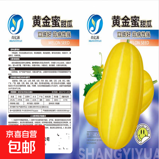 Golden dense melon seeds, melon dense seeds, Golden Road fruits, early maturing, high yield, disease resistance, extra large spring melon fruit seeds, golden dense seeds/pack, about 100 seeds, 5 packs