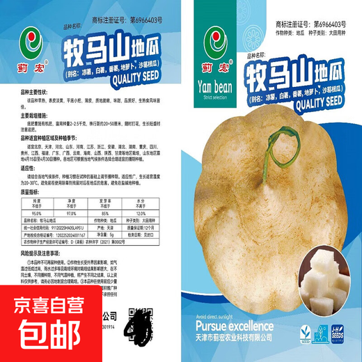 Early-maturing Muma Mountain Sweet Potato and Cold Potato Seeds Large Sweet Potato White Sweet Potato Kudzu High-yielding Spring and Autumn Sowing Fruit and Vegetable Seeds Muma Mountain Sweet Potato (Jingyam Seeds/Pack About 50 Pieces 3 Packs