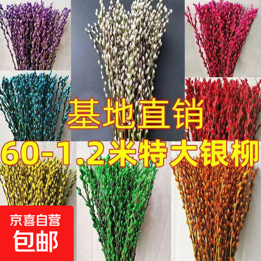 Silver willow real flowers, fresh branches, New Year's Eve flowers, red dried flowers, lucky bucket, silver willow, hydroponic plants, flowers, living room interior decoration, high-quality A-grade silver willow, 60cm, 40 branches (4 colors mixed and matched) + 2 small lanterns