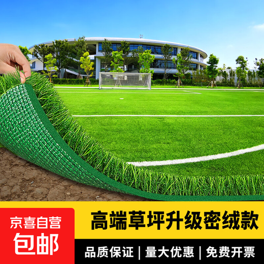 Fake Turf Simulated Lawn Green Carpet Outdoor Artificial Plastic Artificial Bionic Outdoor Insulation Enclosure Football Field 2.5cm Newly Upgraded Encrypted High-Quality Spring Grass 1.5m wide/1m long How many meters long do you need to shoot?