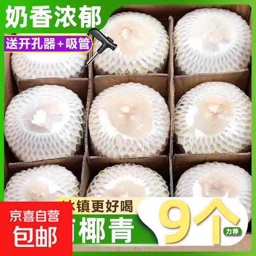 Hainan Fresh Pure Natural Peeled Coconut Green Coconut Ready-to-Eat Pregnant Women Fruit Coconut Chicken Soup Coconut Meat Coconut White - Wancheng Cost-Effective Green Coconut 2 Pack (Single Fruit Starting from 800g)