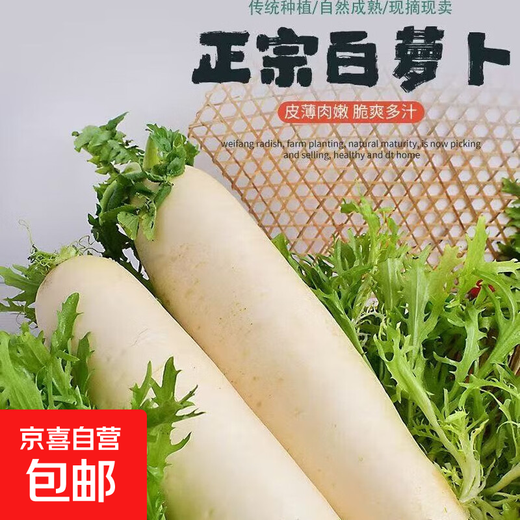 Dongdong Maicai, fresh white radish, freshly dug, crispy, sweet, supermarket fresh and fat-reduced vegetables, fresh white radish 2Jin Jin is equal to 0.5kg, including box