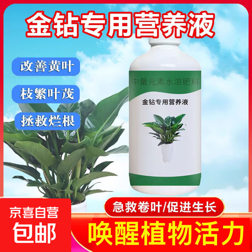 Daye Golden Diamond Special Nutrient Solution Red Diamond Green Princess Yellow Leaf Hydroponic Plants Indoor Potted Green Plants Organic Liquid Fertilizer Golden Diamond Nutrient Solution 300ml/bottle 3 bottles Limited time special price