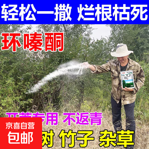 Cyclazinone herbicide Cyclazinone herbicide genuine wholesale cutting weeds and root rotten roots uprooting rotten pesticides land reclamation 5% Cyclazinone 500g*2 bags directly spread