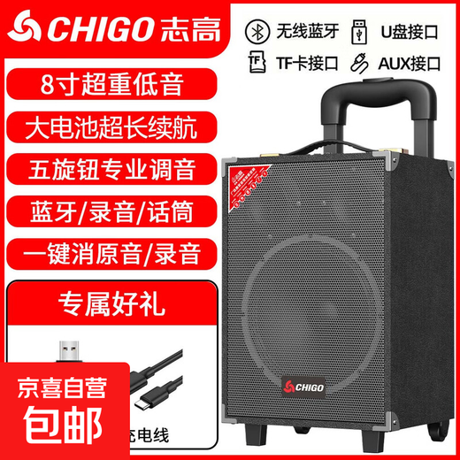 志高（CHIGO）拉杆广场舞音响户外K歌蓝牙音箱专用大音量移动舞台大功率摆摊重低音高端家用移动便携式扩音器 8寸木箱（15寸组合喇叭）+U盘