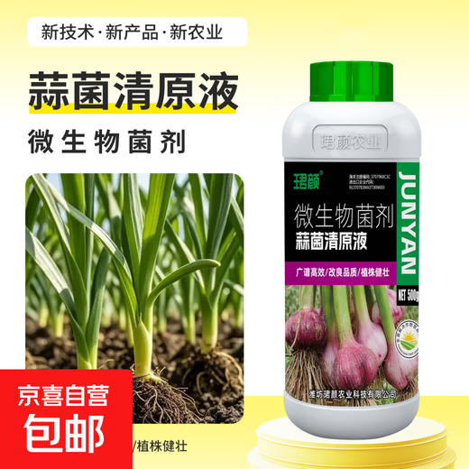 Garlic Bacteria Clear Original Liquid Garlic Agricultural Drug Rust Dry Tip Yellow Leaf Bacterial Wilt Root Rot Bactericidal Bactericidal Microbial Agent 500g*1 Bottle